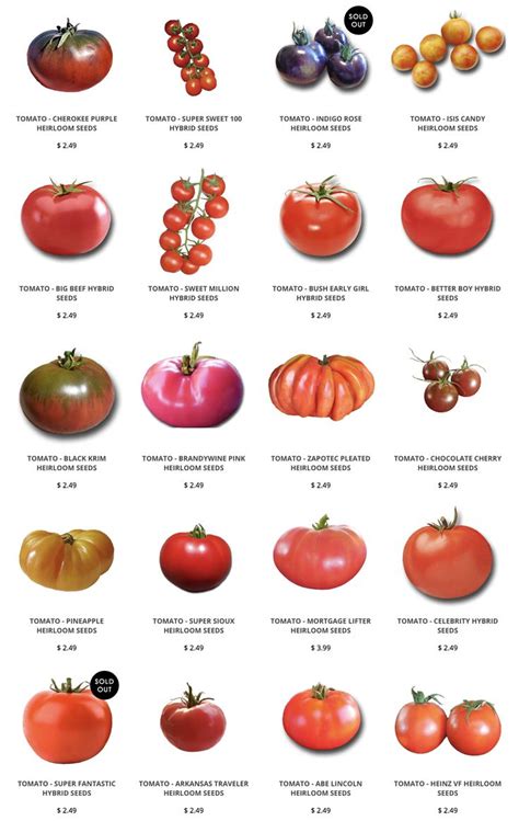 Heirloom Tomato Seeds | Tomato seeds, Heirloom tomato seeds, Tomato