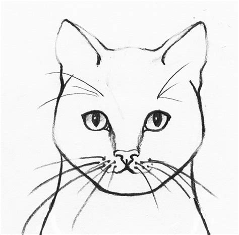 How To Draw A Realistic Cat Head