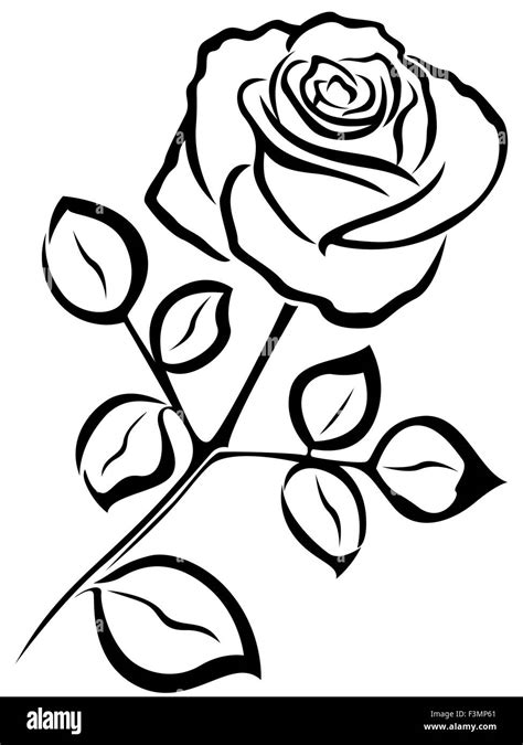 Rose Flower Outline Clip Art