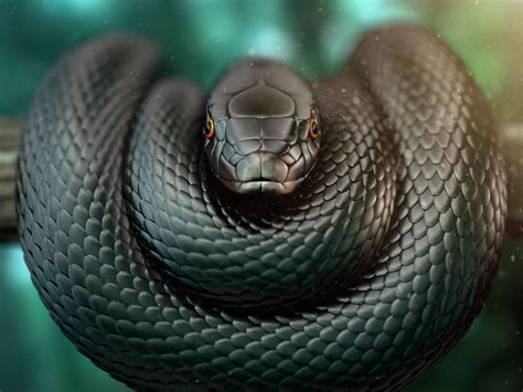 Download Black Mamba Snake On Tree Branch Wallpaper | Wallpapers.com