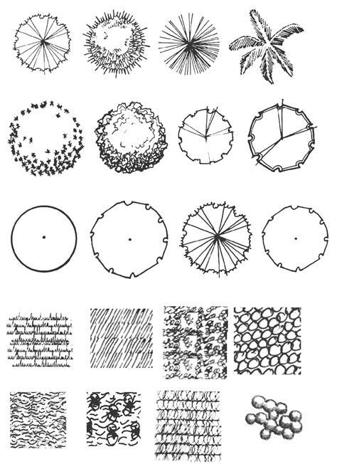 Architecture Tree Drawing Plan – NBKomputer