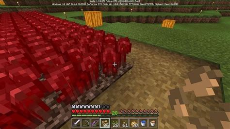 Minecraft Nether Wart Wiki Guide: All You Need To Know