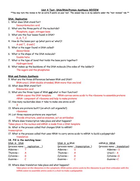 Dna And Rna Worksheet Answers – Englishworksheet.my.id