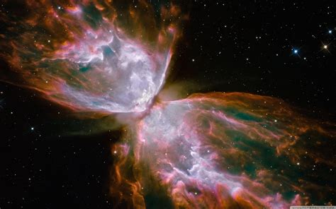 Butterfly Nebula Wallpaper