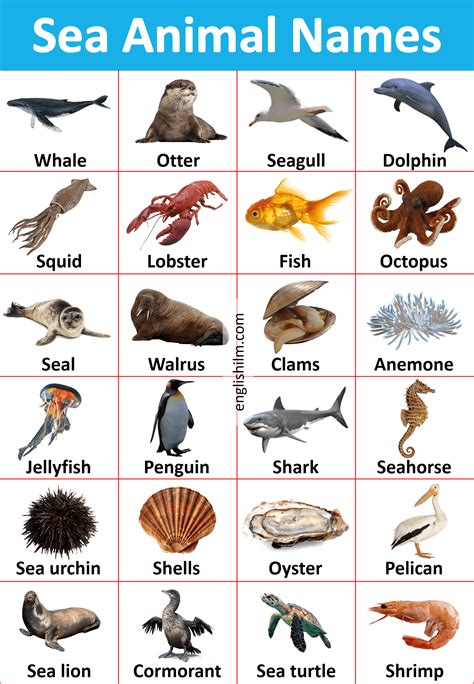 Sea Animals Name List In English with Images | English ilm | Animals ...