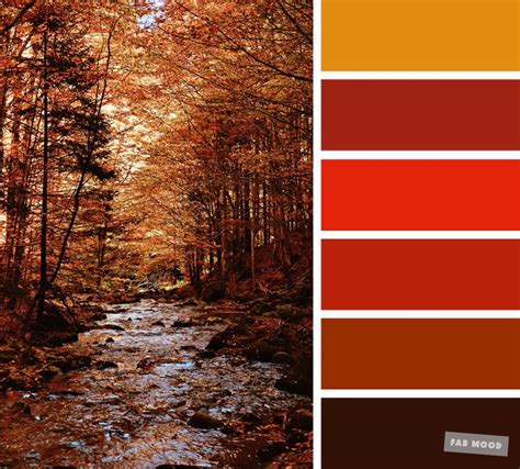 59 Pretty Autumn Color Schemes { Burnt orange + Brown } | Brown color ...