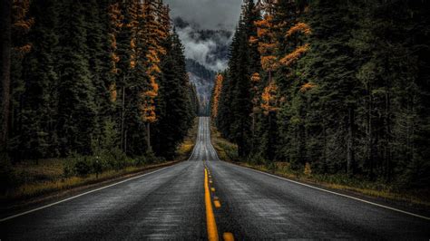 Rainy Road Wallpaper