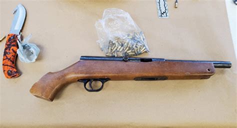 Man allegedly carrying sawed-off rifle facing dozen charges: Owen Sound ...