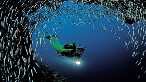 Scuba Diving Wallpapers - Wallpaper Cave