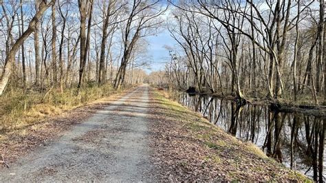 Great Dismal Swamp: A Scenic Hike to Lake Drummond