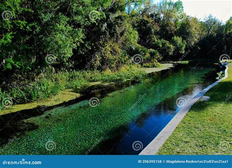 The Rock Springs Florida Swimming Pool in Kelly State Park with Hot ...