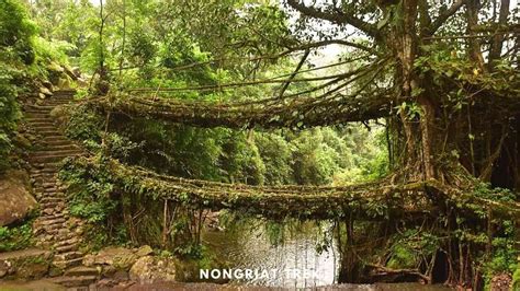 Nongriat Double Decker Root Bridge Trek | Tale of 2 Backpackers