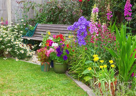 Foxgloves Guide: How to Plant & Care for "Foxglove Flowers"