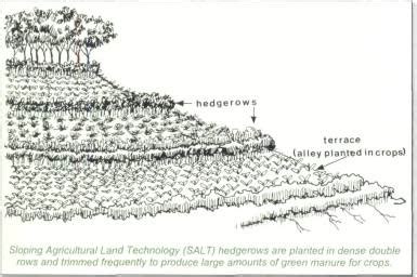 What are Contour Lines? | Contour Lines Corp.