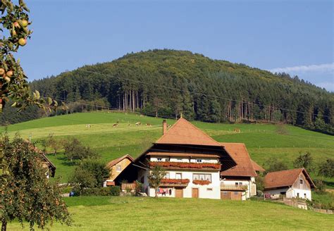 Baden Württemberg Nature : Things To Do In Baden Wurttemberg - Februar ...