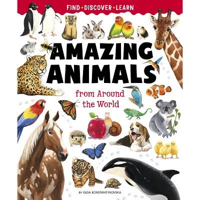 Big Book Of Amazing Animals - (find, Discover, Learn) By Olga ...