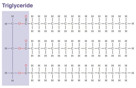 Saturated Triglyceride