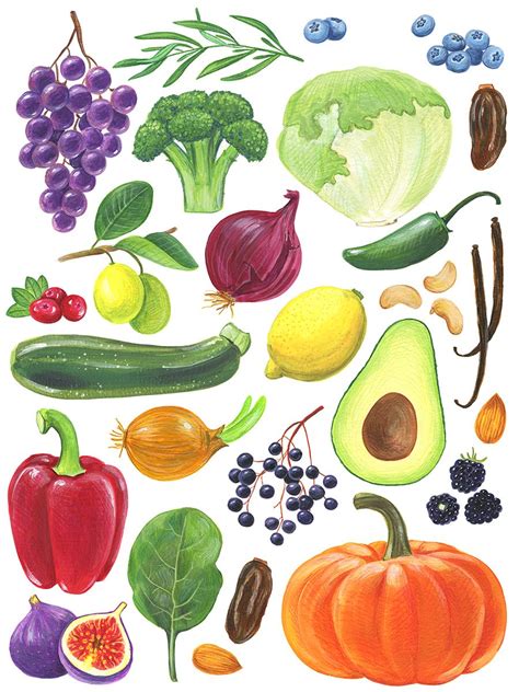 Fruits And Vegetables Drawing at PaintingValley.com | Explore ...