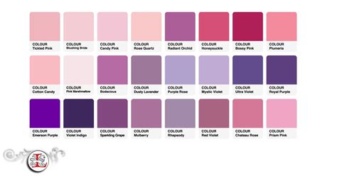 Why is it Important to Understand Color Psychology? : The Color Purple