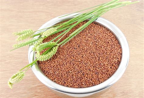 Ragi (Nachni) for Babies - Health Benefits & Recipes