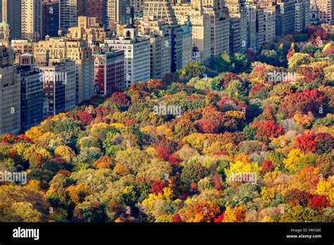 Aerial view of brilliant fall colors of Central Park West foliage in ...