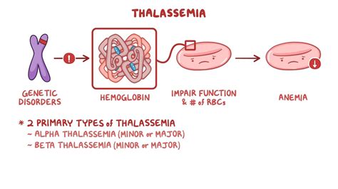 Thalassemia: Nursing - Osmosis Video Library