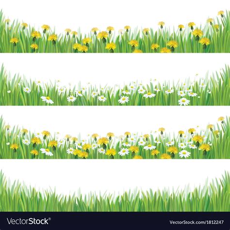 Grass flowers isolated Royalty Free Vector Image