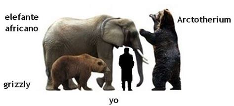 comparing the size of an African elephant and grizzly bear to the ...