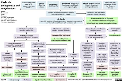 hepatic encephalopathy | Calgary Guide