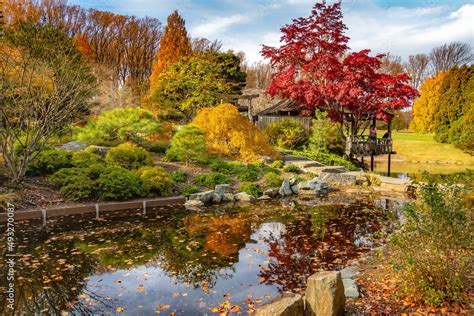 Fall colors in park Stock Photo | Adobe Stock