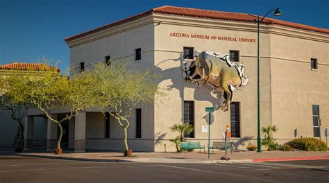 Arizona Museum of Natural History Tours - Book Now | Expedia