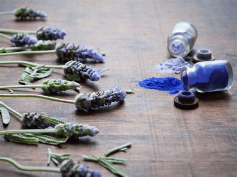 Lavender Oil: The A to Z Solution for Stress Relief to Hair Care ...