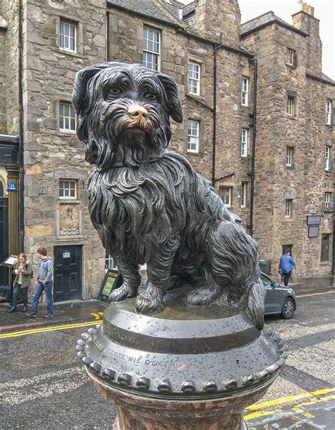 The Story of Edinburgh's Greyfriars Bobby | Parliament House Hotel