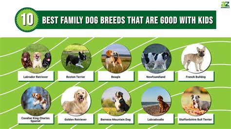 Guess Which Dog Breed Two-Player Board Game (Teacher-Made) | lupon.gov.ph