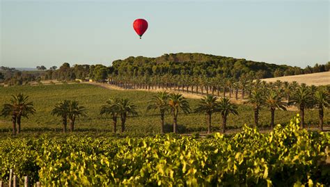 Seppeltsfield Wines Barossa Valley - Essential Theatre