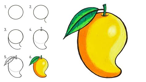 How to Draw a MANGO step by step