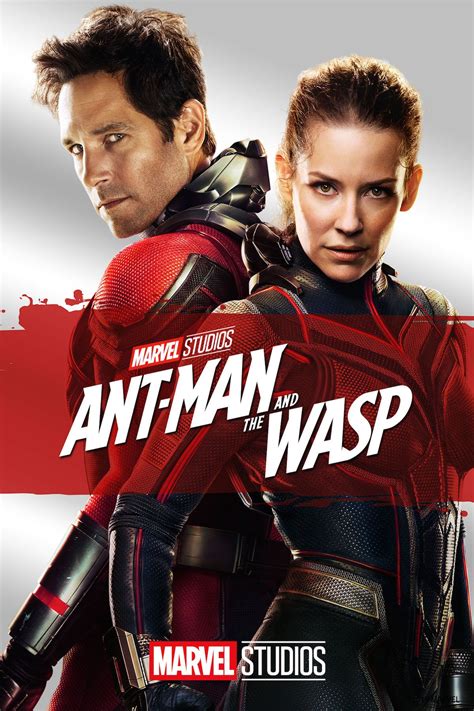 Ant Man and the Wasp FilmyFly 2018 HDRip Hindi Dubbed Movie Download ...