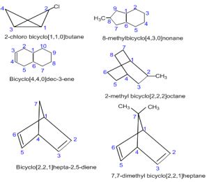 Alicyclic compounds: Cyclic aliphatic compounds