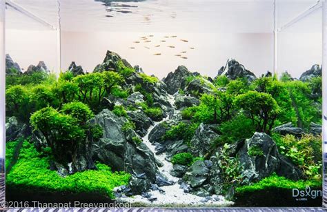 2016 AGA Aquascaping Contest - Entry #129 | Aquascape design, Aquascape ...