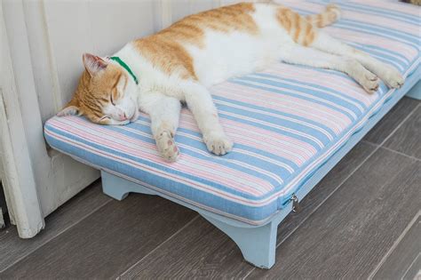 8 Best Outdoor Cat Beds in 2022 - Reviews & Top Picks | Hepper