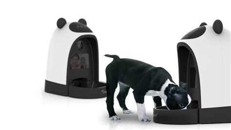 AUTOMATIC FEEDER FOR PET on Behance