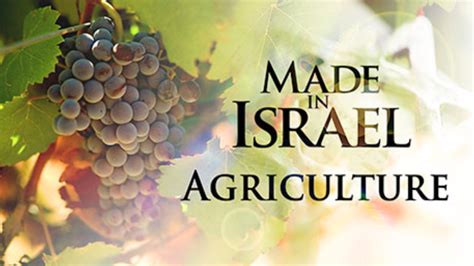 Israel and Stuff » United Nations approves Israel’s agriculture ...