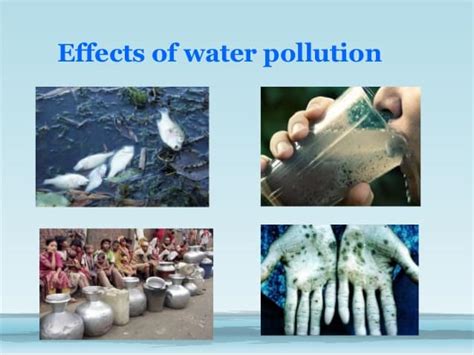 Water Pollution Facts: Causes, Effects & More - Facts.net