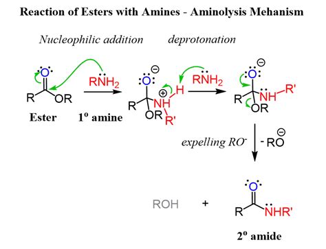 amide synthesis from ester and amine