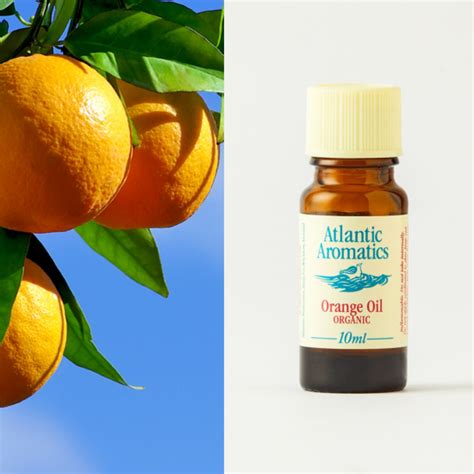 Orange Essential Oil Organic 10ml - New leaf Health Store