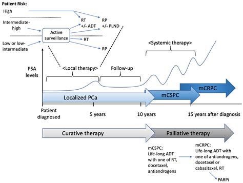 IJMS | Free Full-Text | Complexities of Prostate Cancer