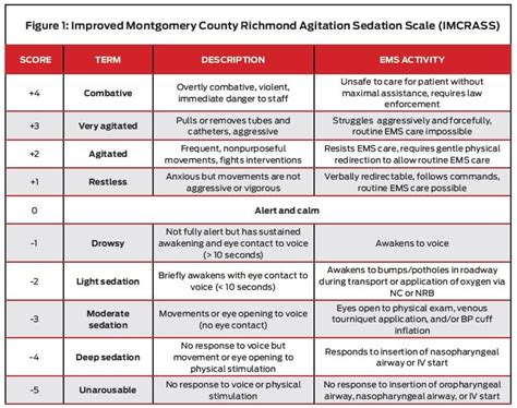 CE Article: Excited Delirium—A Case Review