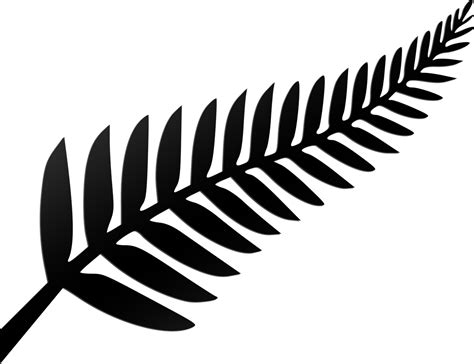 Download Silver Fern - New Zealand Leaf Logo Clipart (#2189918 ...