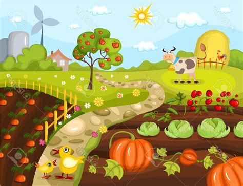 Vegetable Garden Vector at GetDrawings | Free download