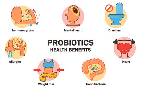 The Microbiome and Health: Probiotics Are Good For Your Gut | DEXA Scan ...